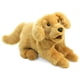thumbnail image 1 of Marioneta de mano Folkmanis Golden Retriever Puppy Tan, 1 of 3