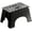 Black, variant on Folding Step Stool