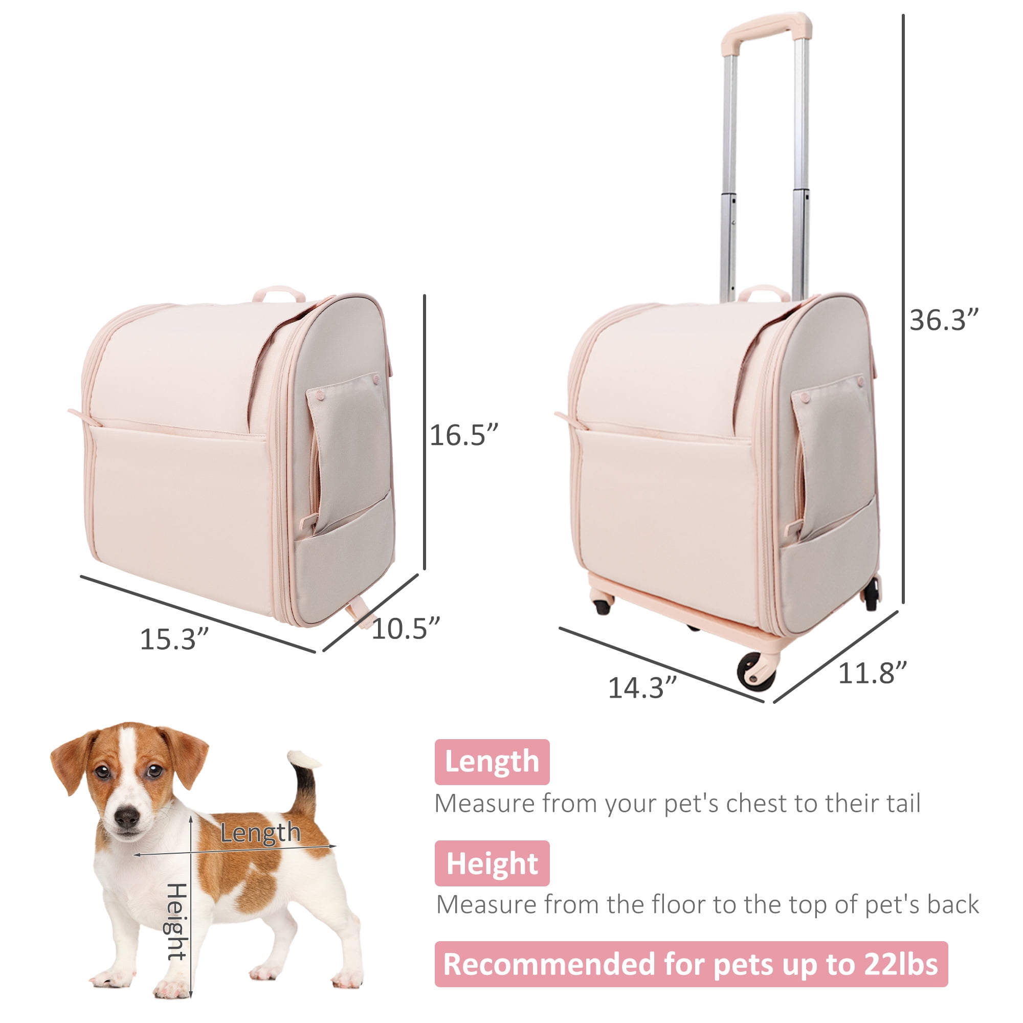 Cupets Pet Carrier with Wheels, Airline Approved Foldable Cat Carrier  Backpack Bag, Pink in 2023