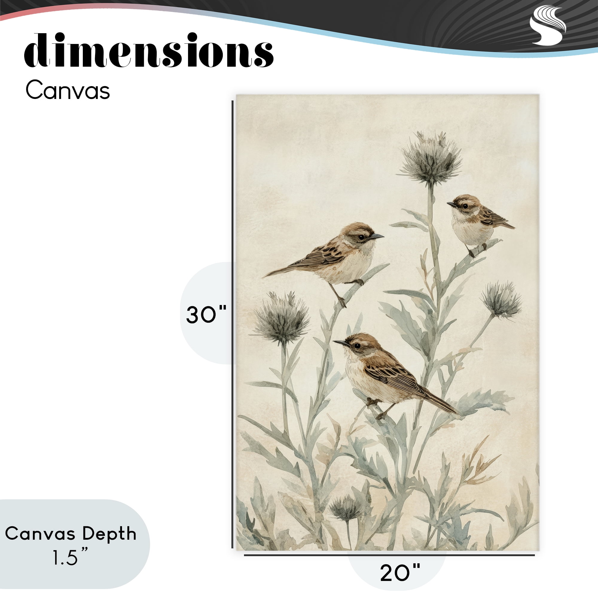 Stupell Industries Sparrows on Thistle Stems Canvas Wall Art, design by Petal Prints Design