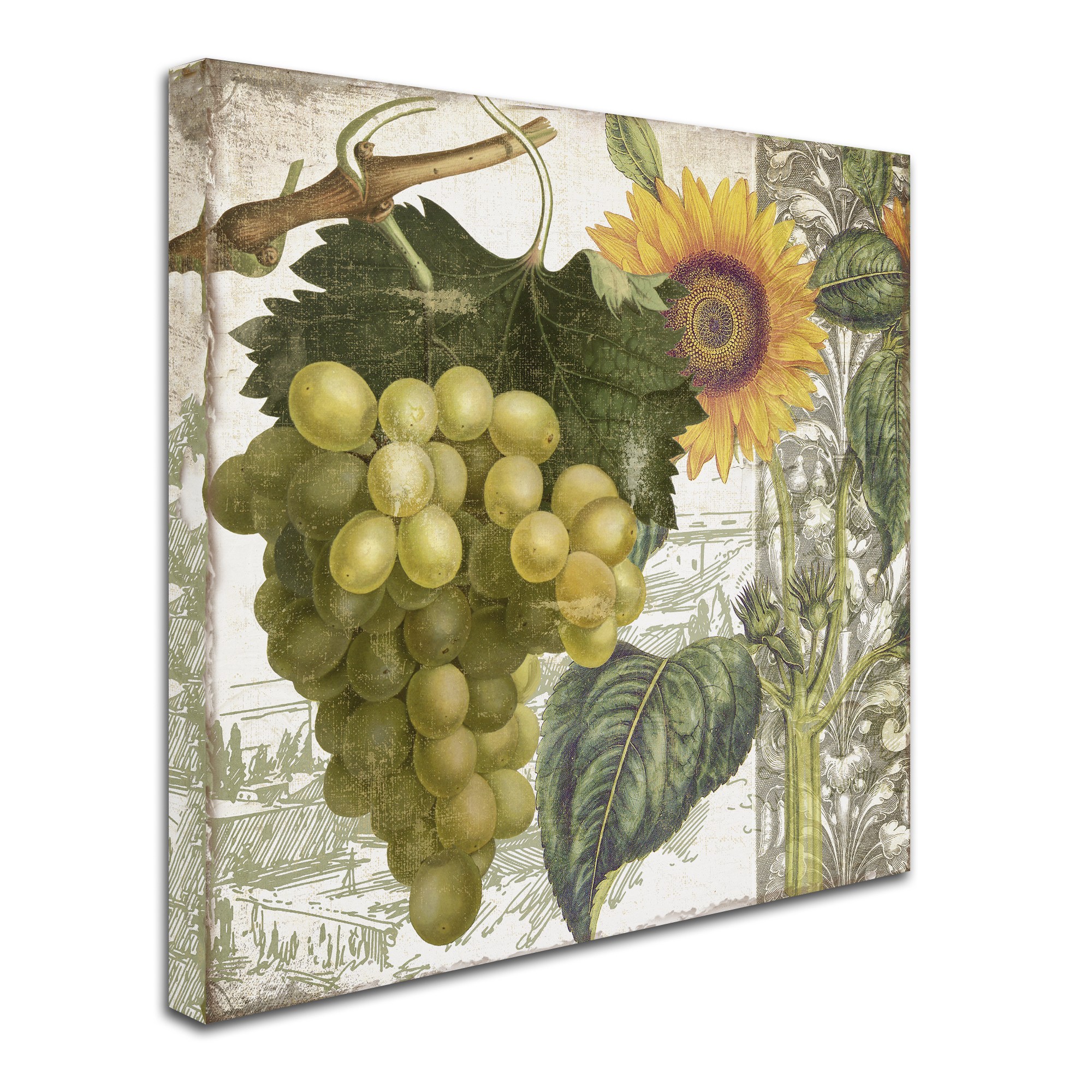 Trademark Fine Art "Dolcetto III" Canvas Art by Color Bakery