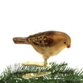 thumbnail image 3 of Old World Christmas Mini Songbird - One Ornament 2 Inch, Glass - Happiness Joy Spring 18042 Meadow Pipit, 3 of 3