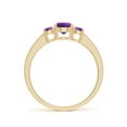 thumbnail image 2 of ANGARA Natural 0.45 Ct. Amethyst with Diamond Classic Ring in 14K Yellow Gold for Women (Ring Size: 3), 2 of 9