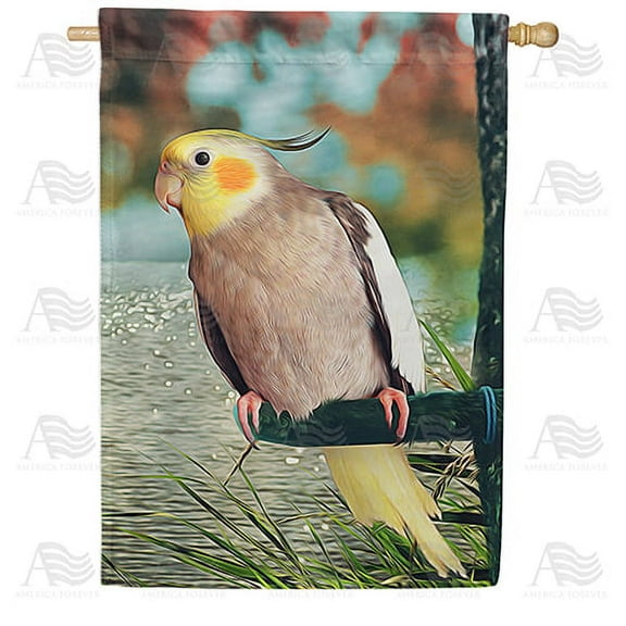 America Forever Spring Bird House Flag 28 x 40 inches Double Sided Hello Spring, Lake, Nature, Positive Vibes - Seasonal Yard Lawn Outdoor Decorative Yellow Cockatiel House Flag