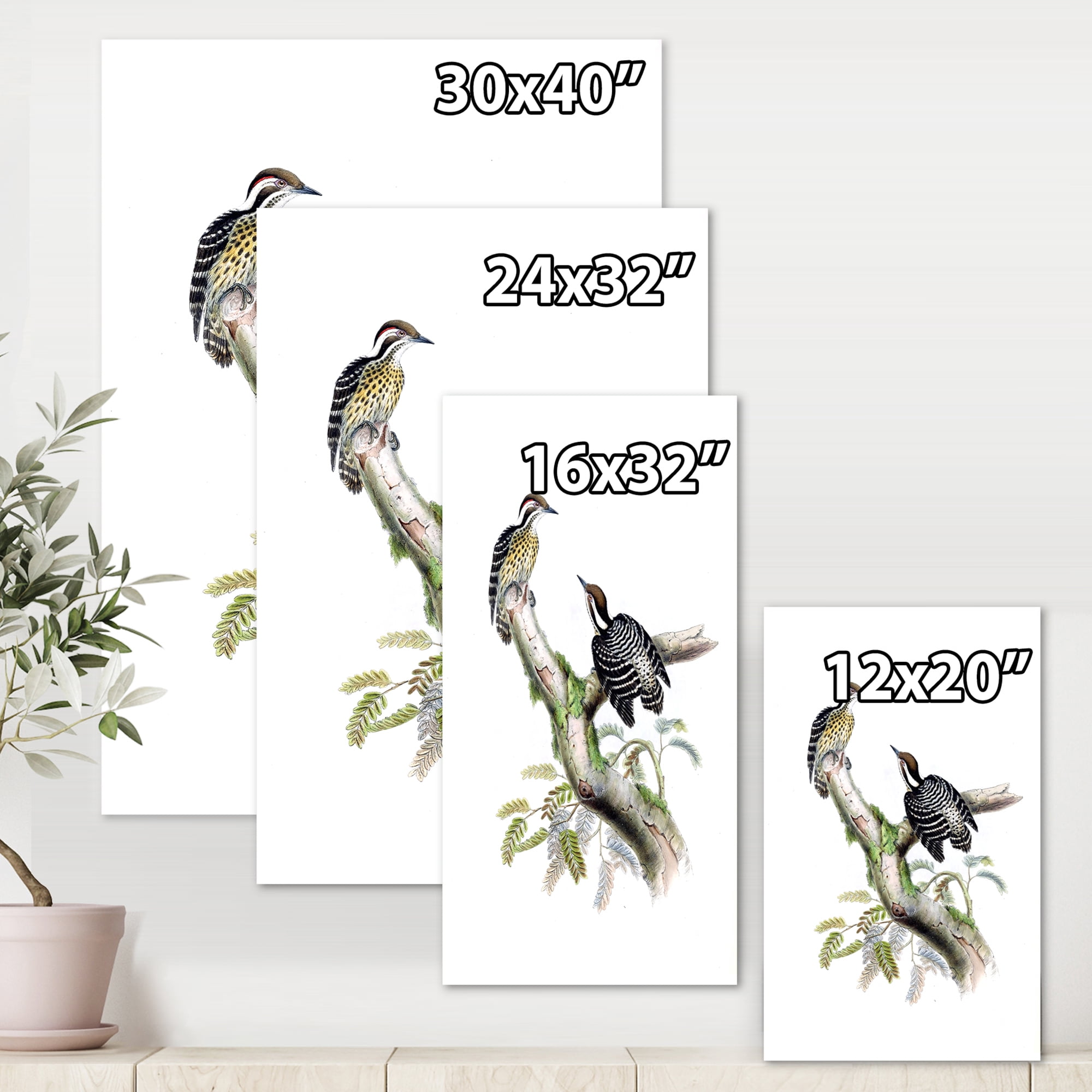 Designart ' Ancient Birds In The Wild VIII ' Traditional Canvas Wall Art Print