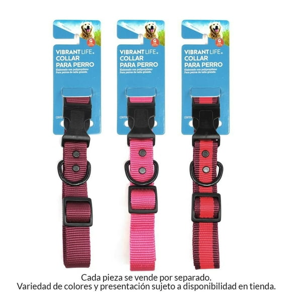 Collar para Perro Vibrant Life De Nylon Talla Grande Varios Colores 1 Pza