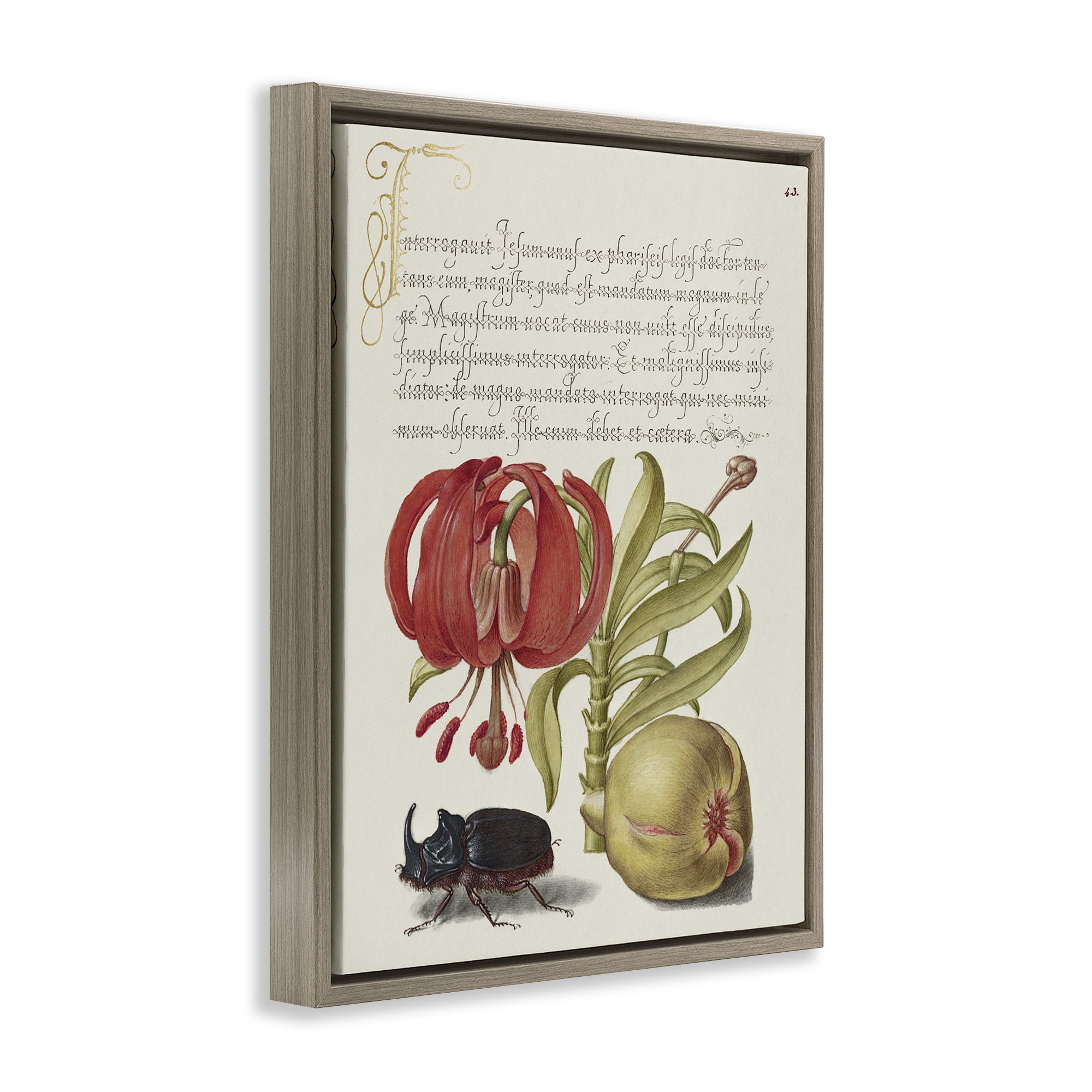 Stupell Industries Vintage Flora & Fauna Text & Numbers Painting Brown Floater Framed Canvas Art Print Wall Art, 25 x 31