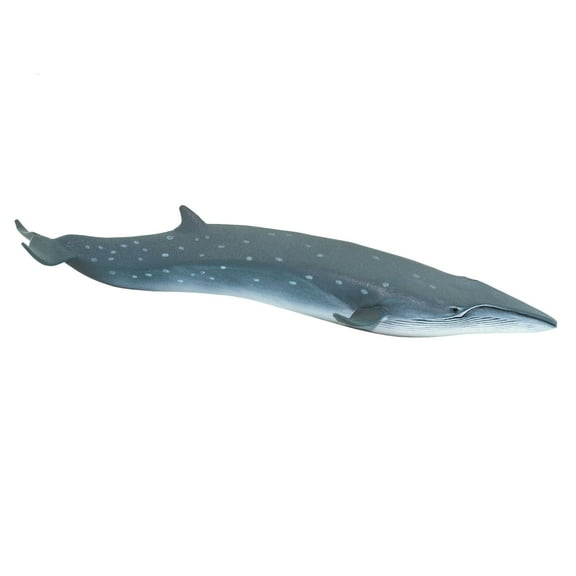 Safari Ltd. Sei Whale Figurine - Realistic 7.75" Plastic Model Figure - Educational Sea Life Toy for Boys, Girls and Kids Ages 3 