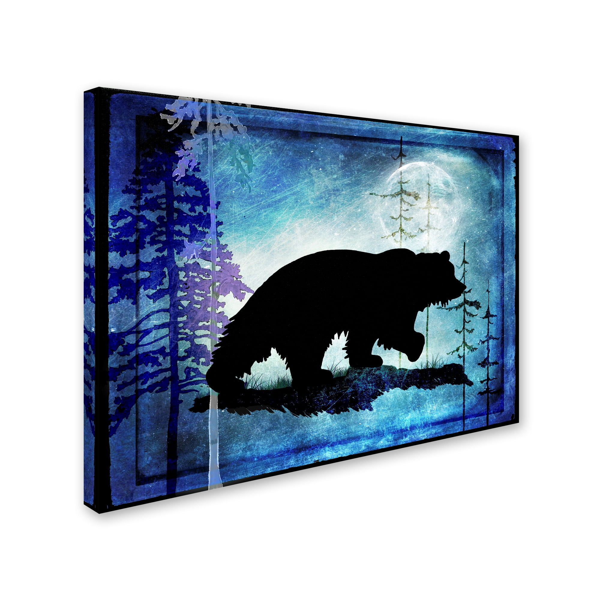 Trademark Fine Art 'Midnight Bear II' Canvas Art by LightBoxJournal