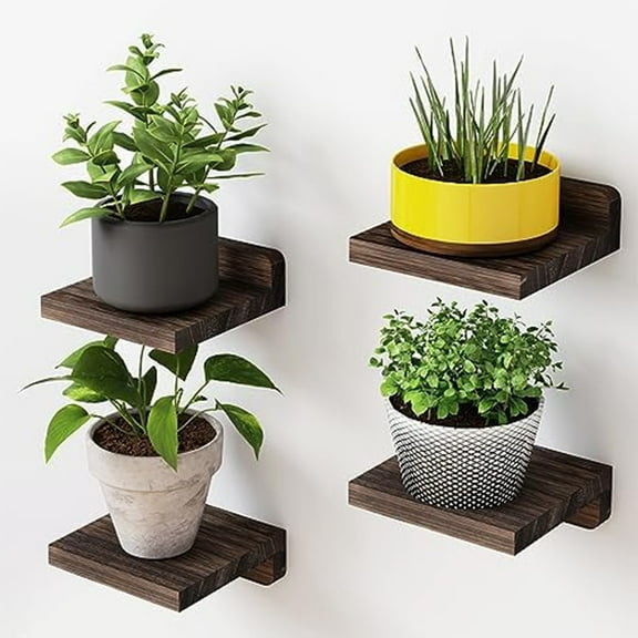 Rustic Small Floating Shelves Set of 4 - Stylish Wall Decor for Any Room!