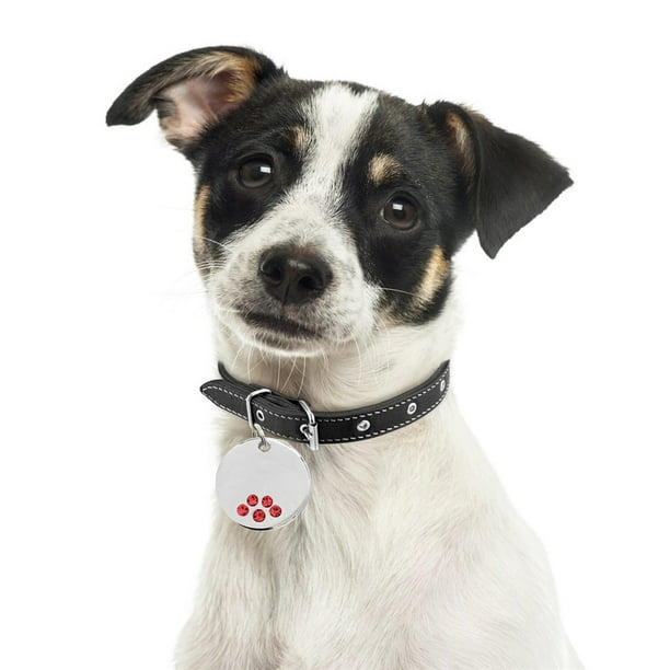 Hotwon Cute Mini More Diamond Dog Cat Id Name s Pet Jewelry Necklace Walmart Com Walmart Com