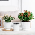 thumbnail image 2 of bestolf Self Watering Pots for Indoor Plants Plastic Wicking Flower Pots Modern African Violet Planter with Reservoir And Wick Rope for House Plants Flowers Herbs, 2 of 8