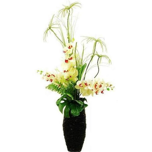 Designs by Lauren 16F43 Jardin Tropical de 44 Po avec Orchidées Phalaenopsis&44; Herbe de Cyprès&44; Fougère & Feuille Fendue dans un Panier en Corde