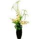 Designs by Lauren 16F43 Jardin Tropical de 44 Po avec Orchidées Phalaenopsis&44; Herbe de Cyprès&44; Fougère & Feuille Fendue dans un Panier en Corde – image 1 sur 1
