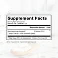 thumbnail image 6 of Saccharomyces Boulardii Probiotics 10 Billion CFU - Made in USA | No Fillers, Patented Strain: Lynside CNCM I-3799 Probiotics for Men and Women | Pure TheraPro Rx - 240 Capsules, 6 of 7