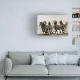 thumbnail image 2 of Heidi Bartsch 'Horse' Canvas Art, 2 of 4