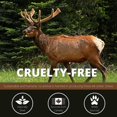 thumbnail image 4 of Split Elk Antler for Dogs – Safe, Nutritious & Natural Sustainable Antler Chew Toy - 5 Inches Long, 1 Inch Wide – Elk Shed Their Horns - No Animals Harmed (1 Pack), 4 of 8