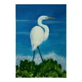 thumbnail image 1 of Betsy Drake FL325 Drapeau de l'Aigrette de 12,5 x 18 Po, 1 of 1