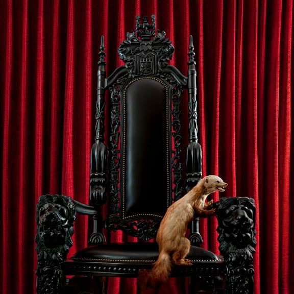 Brume - Marten - Music & Performance - CD