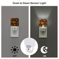 thumbnail image 3 of Salouo Autumn Pumpkin Leaves for Night Lights Plug into Wall 1 Pack, 0.5W Plug in Night Light with Dusk-to-Dawn Light Sensor LED Nightlight for Bathroom, Adult, Hallway-, 3 of 7