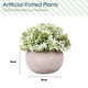thumbnail image 2 of Mini plantas artificiales para mesa del hogar, oficina, habitación, escritorio, decoración de repisa de granja, 2 of 5