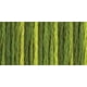 DMC Variations de Couleur Perle Coton Taille 5 27yd-Amazon Mousse – image 1 sur 2