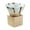 Light Cyan, variant on CSChome Crude Pottery Funnel Coffee Cup 100ML Crude Pottery Funnel Coffee Cup with Base Handmade Japanese Style Latte Cappuccino Tea Espresso Tapered Mug (Heat resistant)