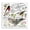 Woodland Finch Egg, variant on Stupell Industries Local Bird Diagram Animals Painting Wrapped Canvas Art Print Wall Art, 17 x 17