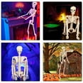thumbnail image 3 of Zeiwohndc Ceiling Hanging Skeleton Life Size Human Body for Halloween Party Decoration, 3 of 14
