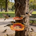 thumbnail image 4 of Hanging Bird Bath BirdBath Hummingbird Outdoor Bird Feeder Garden Yard Decorations, 4 of 6