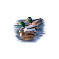 thumbnail image 4 of Ducks, Icon (1000 Piece Puzzle, Size 19x27, Challenging Jigsaw Puzzle for Adults and Family, Made in USA), 4 of 4