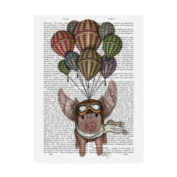 Trademark Fine Art 'Pig And Balloons' Canvas Art by Fab Funky