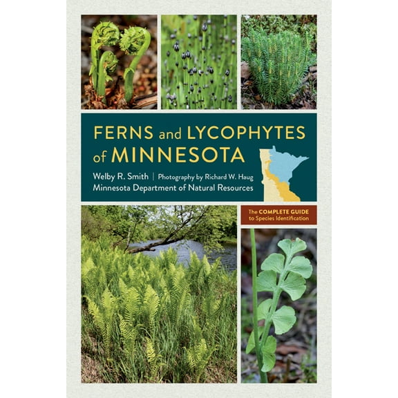 Ferns and Lycophytes of Minnesota: The Complete Guide to Species Identification, (Paperback)
