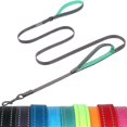thumbnail image 1 of VIVAGLORY Laisse pour Chien Twingrip, Laisse pour Chien à Double Poignée pour l'Entraînement et la Marche avec Poignée de Circulation et 2 Boucles, Contrôle de la Circulation Réfléchissant Robuste pour Chiot Animal de Compagnie, 4 Pieds x 1/2 Po, Gris, 1 of 6