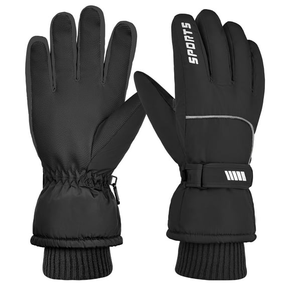 REDESS Men's Winter Gloves with Waterproof Touchscreen for Outdoor Sprots Ski Snowboard ,Black