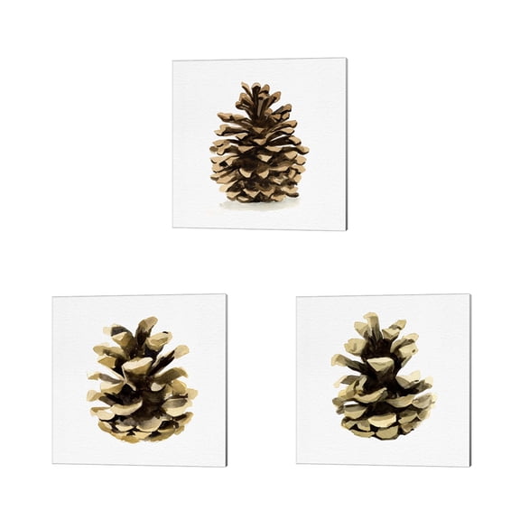 Great Art Now Conifer Cone by Emma Caroline 3 Piece Canvas Art Set Each 14W x 14H