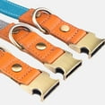 thumbnail image 5 of 1. El collar adecuado no le dará a tu perro espacio para masticar. Mire nuestra lista de tallas en la foto., 5 of 5