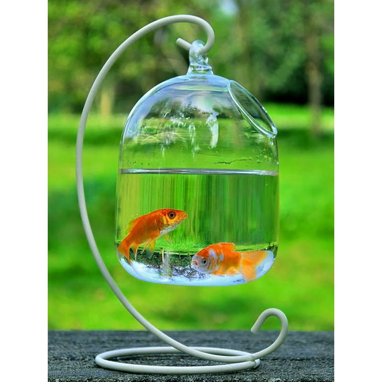 Hapeisy Desk Hanging Fish Tank Bowl with Stand, Small Table Top Glass Fish  Bowl Mini Aquarium for Betta Fish Home Decor (Without fish 