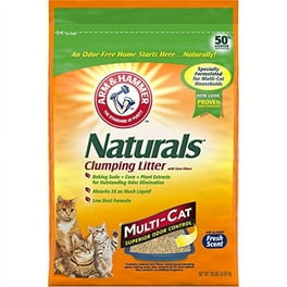 Arm and hammer slide cat litter walmart outlet