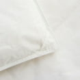 thumbnail image 2 of Maholi Kids' Duck Down Duvet, 2 of 3