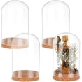 thumbnail image 6 of 4pcs Glass Cloche Dome Long Display Bottle Glass Bell Jar with Cork Base Dome Cover Decorative Jars Display Case for Flower Storage Home Christmas Party Favor Decoration 2.36x4.48inch, 6 of 9