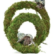 Bendable Hermit Crab Climbing Toys, Adjustable Fake Moss Vine for Pet Snail Hermet Crab Habitat Hideouts Tank Terrarium Accessories (Natural Green, 20Inch)