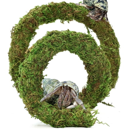 Bendable Hermit Crab Climbing Toys, Adjustable Fake Moss Vine for Pet Snail Hermet Crab Habitat Hideouts Tank Terrarium Accessories (Natural Green, 20Inch)