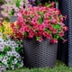 thumbnail image 2 of 12 Manojos de Flores Artificiales de Otoño, Decoración de Otoño Al Aire Libre a Prueba de Decoloración para Porche, Jardín, Patio, Sala de Estar, Recámara - Arreglo Floral Decorativo Multiusos, 2 of 10