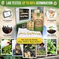 thumbnail image 3 of Organo Republic 25 Winter Vegetable Garden Plant Seeds, Non-GMO Heirloom Seeds, 3 of 7