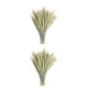 thumbnail image 2 of Ramo de flores secas naturales Advancent 50 pcs 2piezas, 2 of 6