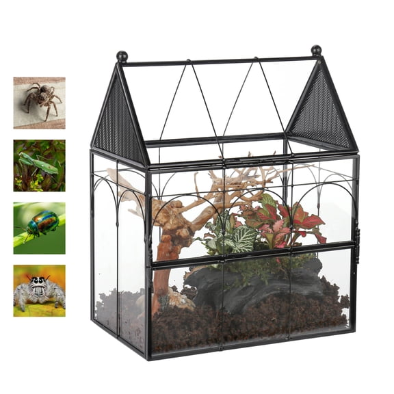 NCYP Glass Enclosure with Vent Holes for Insect, Spiders, Snails - 7.5" x 4.9" x 9", Small Closed Front Opening Door Succulent Terarium - House Shape Habitat, Home Decor Black (No Plants)