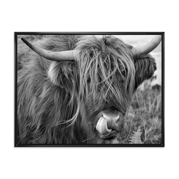 Close Up Of Scottish Cow On Moorland II 20 in x 12 in Framed Painting Canvas Art Print, by Designart