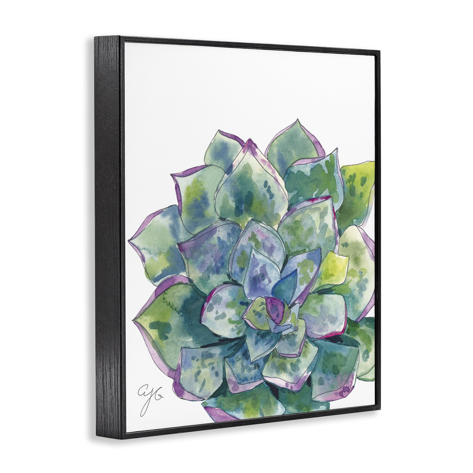 Stupell Industries Abstract Succulent Watercolor Botanical & Floral Painting Black Framed Art Print Wall Art, 16 x 20