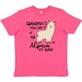 thumbnail image 3 of Inktastic Grandma's You Say Alpaca My Bags Youth T-Shirt, 3 of 5